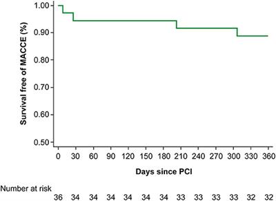 Veno-Arterial Extracorporeal Membrane Oxygenation in Elective High-Risk Percutaneous Coronary Interventions